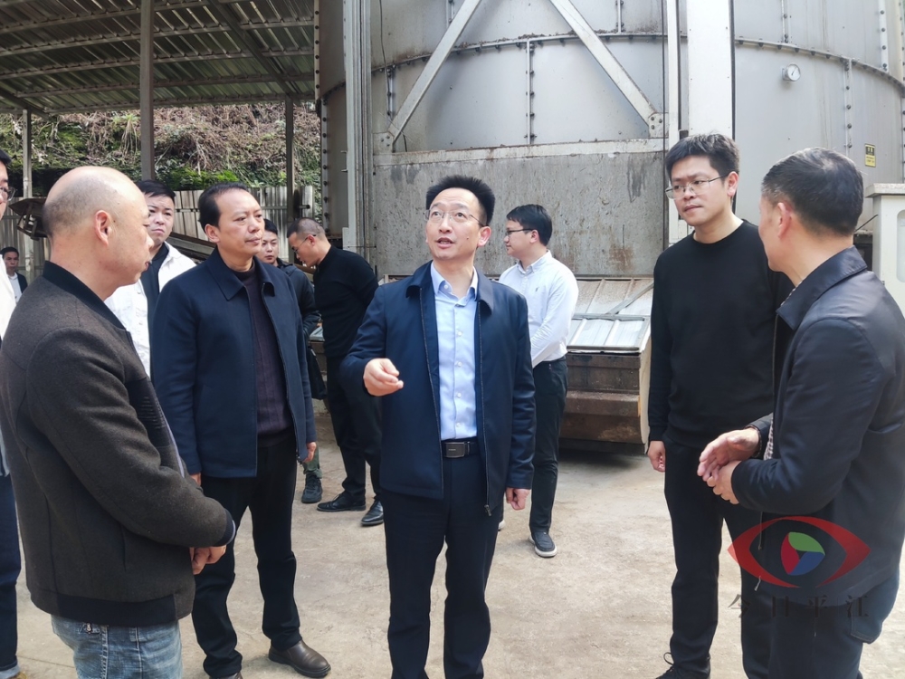 彭方建调研督导生态环境问题整改工作