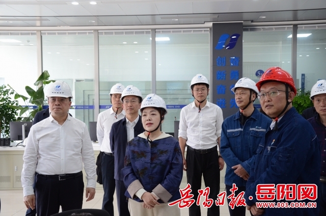 省第二环保督察组赴汨罗市、平江县开展下沉督察